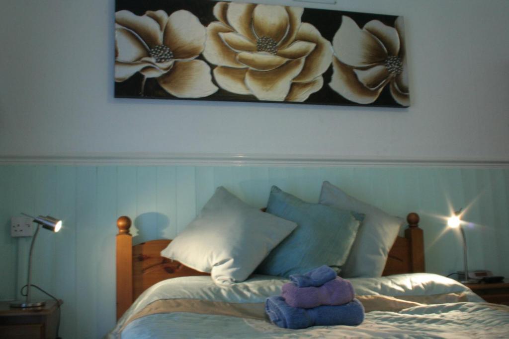 Devon View Guesthouse Swansea Pokój zdjęcie