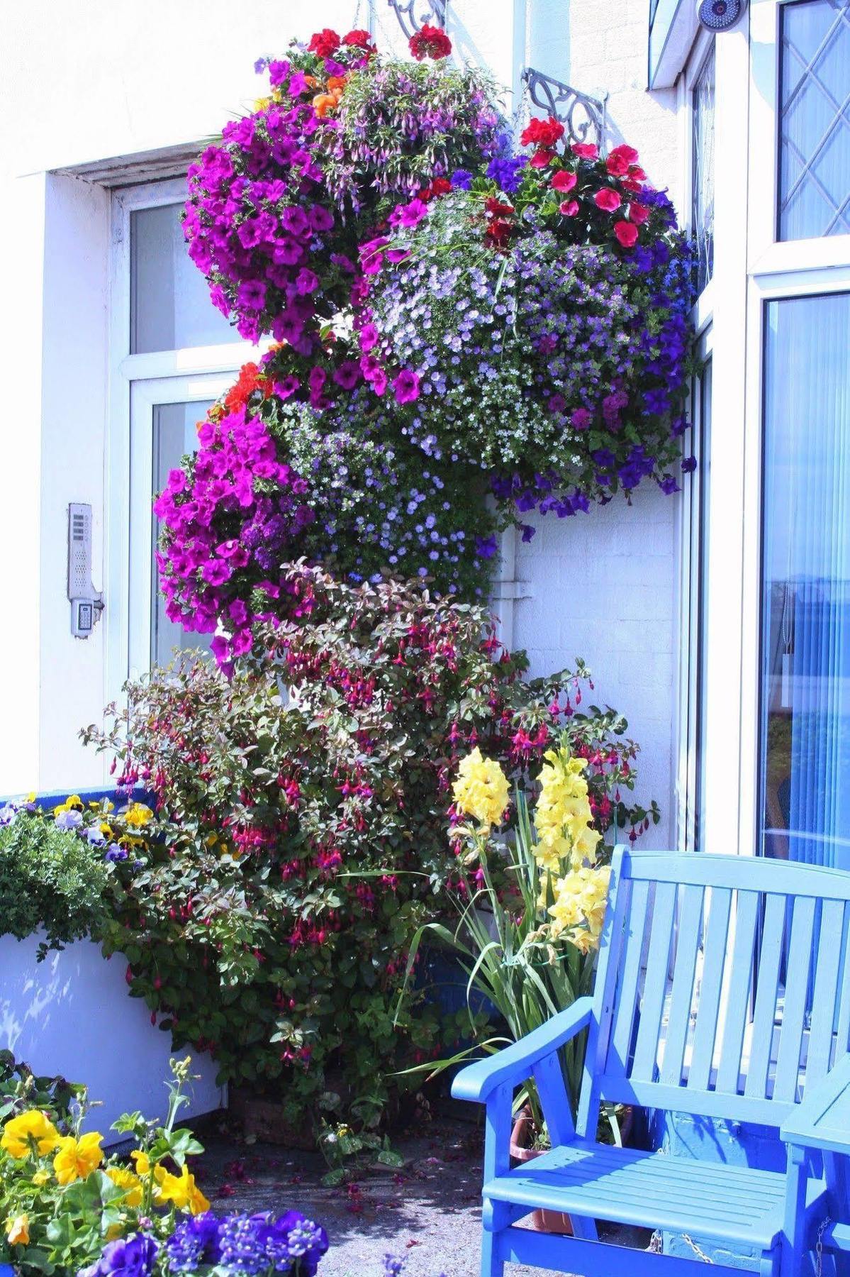 Devon View Guesthouse Swansea Zewnętrze zdjęcie